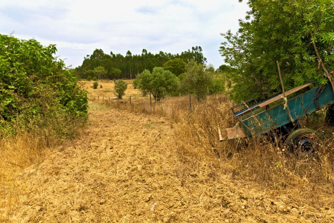 Quinta T4 para Venda em Santiago do Cacém, Santa Cruz e São Bartolomeu da Serra Foto 11