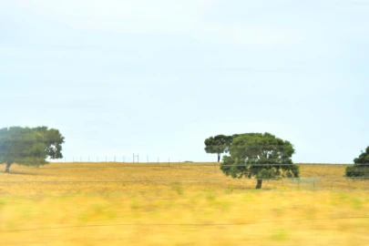 Quinta T4 para Venda em Santiago do Cacém, Santa Cruz e São Bartolomeu da Serra
