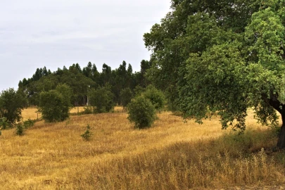 Quinta T4 para Venda em Santiago do Cacém, Santa Cruz e São Bartolomeu da Serra