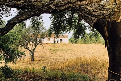 Quinta T4 para Venda em Santiago do Cacém, Santa Cruz e São Bartolomeu da Serra