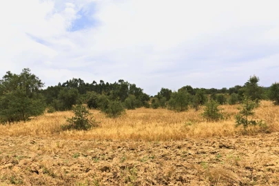 Quinta T4 para Venda em Santiago do Cacém, Santa Cruz e São Bartolomeu da Serra