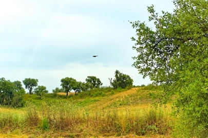 Quinta T4 para Venda em Santiago do Cacém, Santa Cruz e São Bartolomeu da Serra