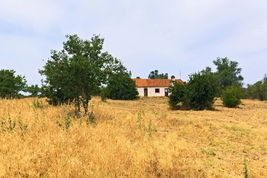 Quinta T4 para Venda em Santiago do Cacém, Santa Cruz e São Bartolomeu da Serra Foto 7