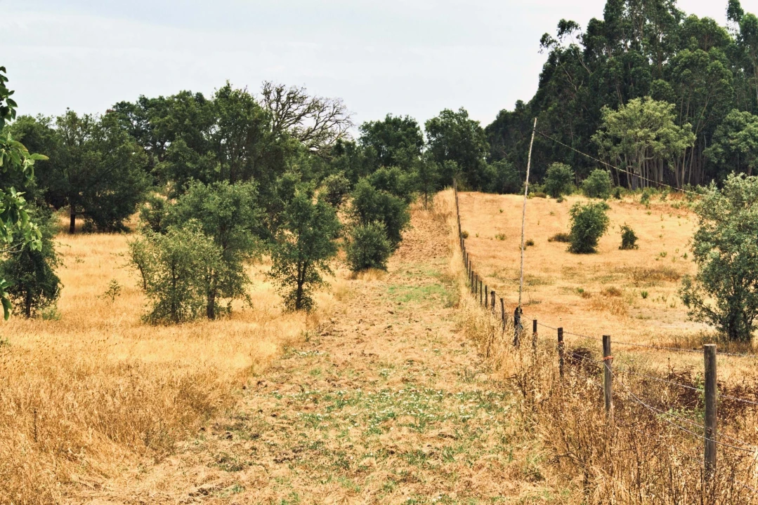Quinta T4 para Venda em Santiago do Cacém, Santa Cruz e São Bartolomeu da Serra Foto 13