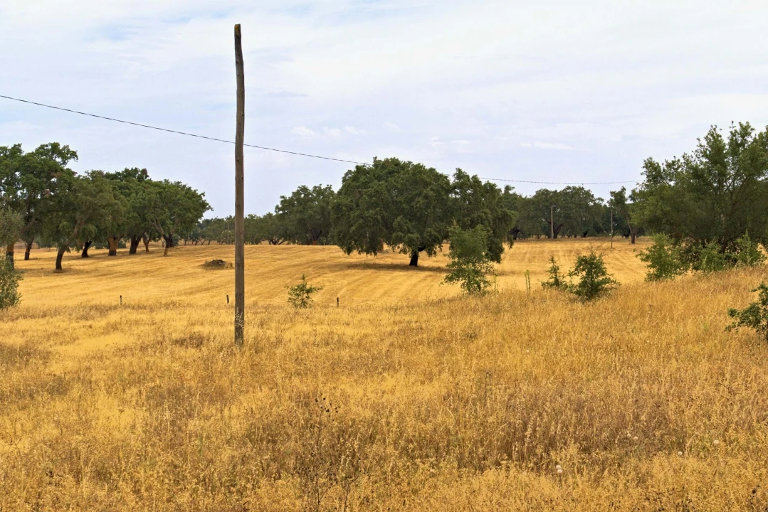 Quinta T4 para Venda em Santiago do Cacém, Santa Cruz e São Bartolomeu da Serra Foto 14