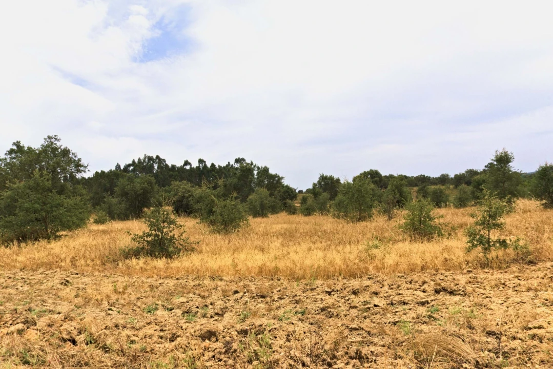 Quinta T4 para Venda em Santiago do Cacém, Santa Cruz e São Bartolomeu da Serra Foto 15