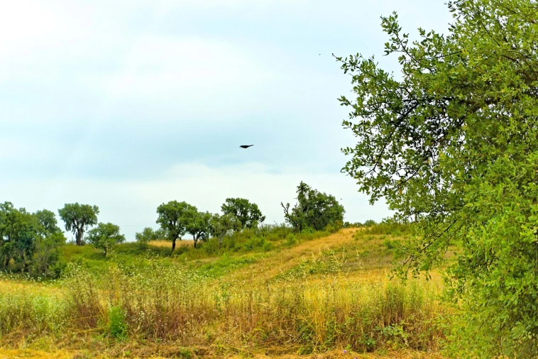 Quinta T4 para Venda em Santiago do Cacém, Santa Cruz e São Bartolomeu da Serra Foto 19