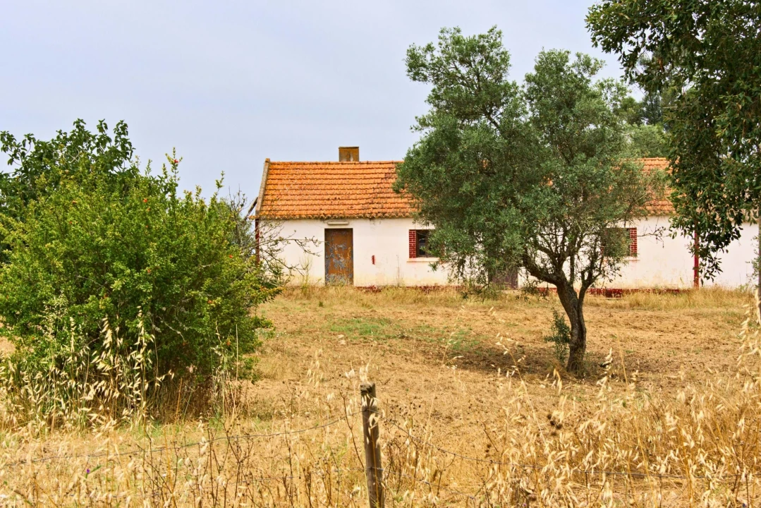 Quinta T4 para Venda em Santiago do Cacém, Santa Cruz e São Bartolomeu da Serra Foto 12