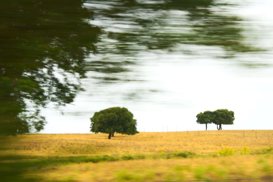 Quinta T4 para Venda em Santiago do Cacém, Santa Cruz e São Bartolomeu da Serra Foto 22