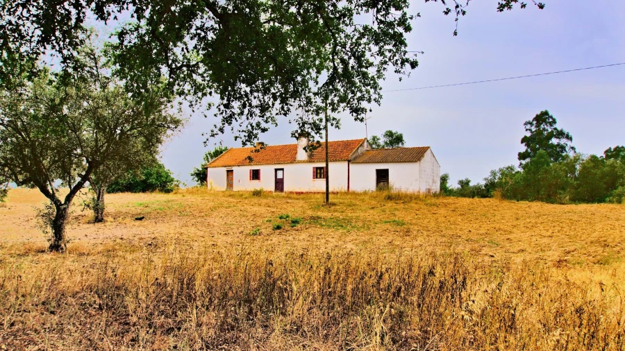 Quinta T4 para Venda em Santiago do Cacém, Santa Cruz e São Bartolomeu da Serra