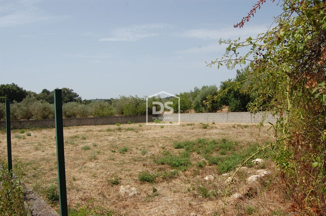 Terreno para Venda em Areias e Pias Foto 16