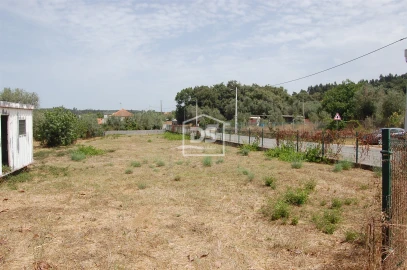 Terreno para Venda em Areias e Pias