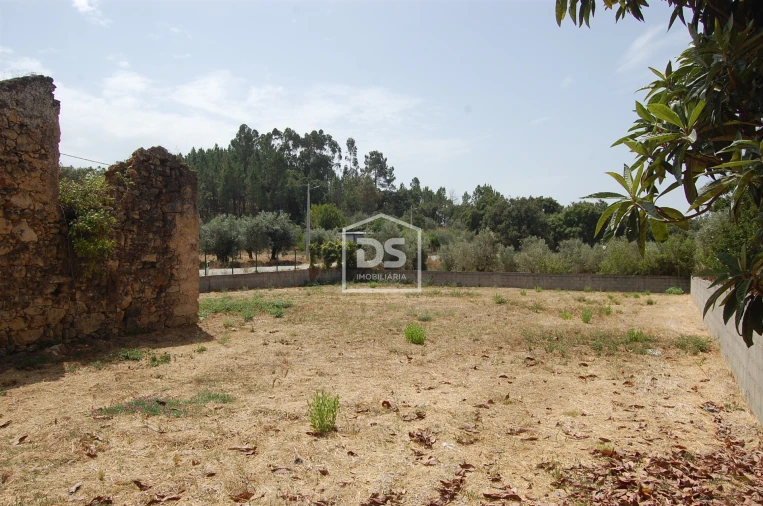 Terreno para Venda em Areias e Pias Foto 3
