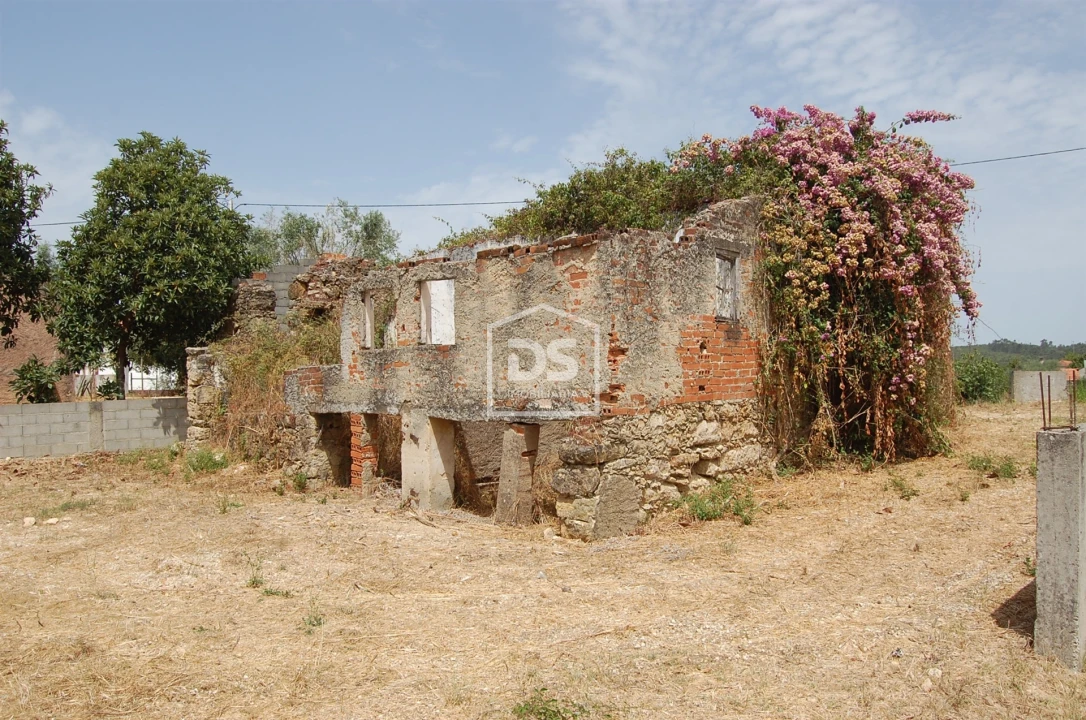 Terreno para Venda em Areias e Pias Foto 5