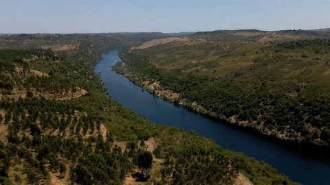 Terreno para Venda em Vila Velha de Rodão