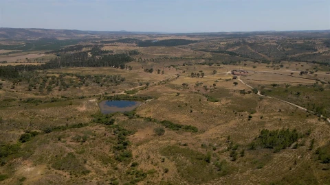 Terreno para Venda em Vila Velha de Rodão