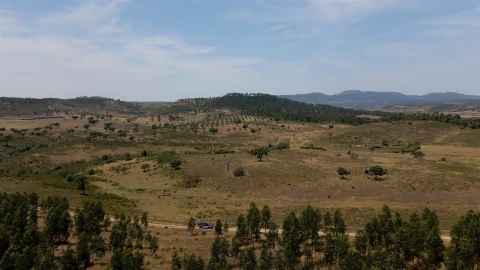Terreno para Venda em Vila Velha de Rodão