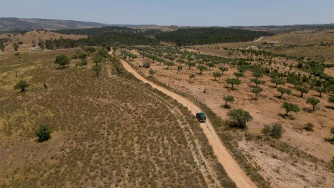 Terreno para Venda em Vila Velha de Rodão
