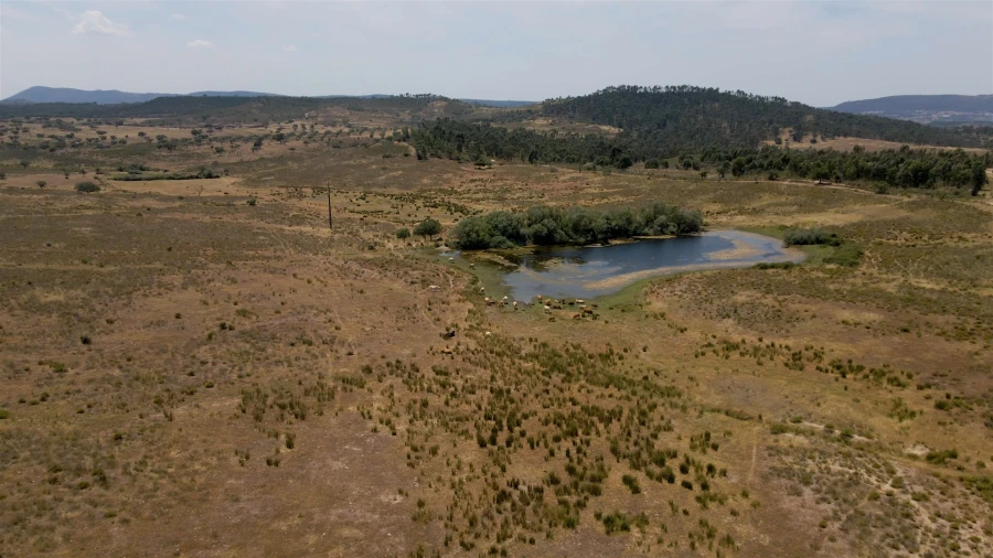 Terreno para Venda em Vila Velha de Rodão Foto 21