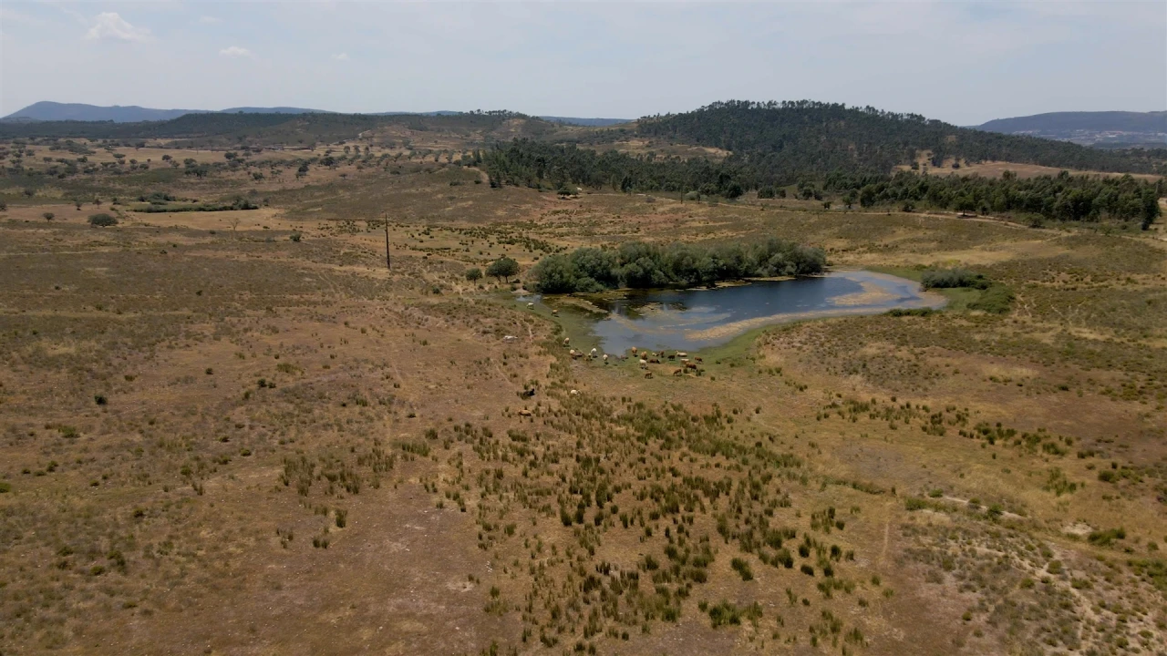 Terreno para Venda em Vila Velha de Rodão Foto 21