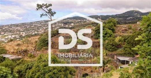 Terreno para Venda em Gaula