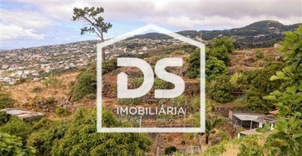 Terreno para Venda em Gaula Foto 2