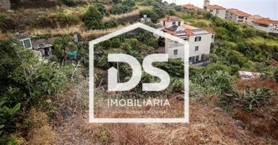 Terreno para Venda em Gaula Foto 3