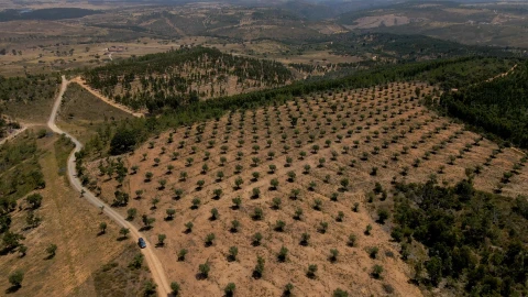 Terreno para Venda em Vila Velha de Rodão