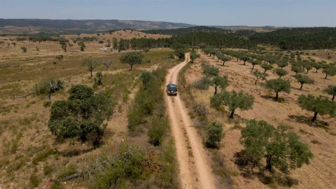 Terreno para Venda em Vila Velha de Rodão