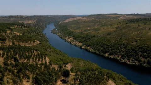 Terreno para Venda em Vila Velha de Rodão