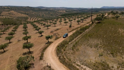 Terreno para Venda em Vila Velha de Rodão