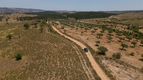 Terreno para Venda em Vila Velha de Rodão