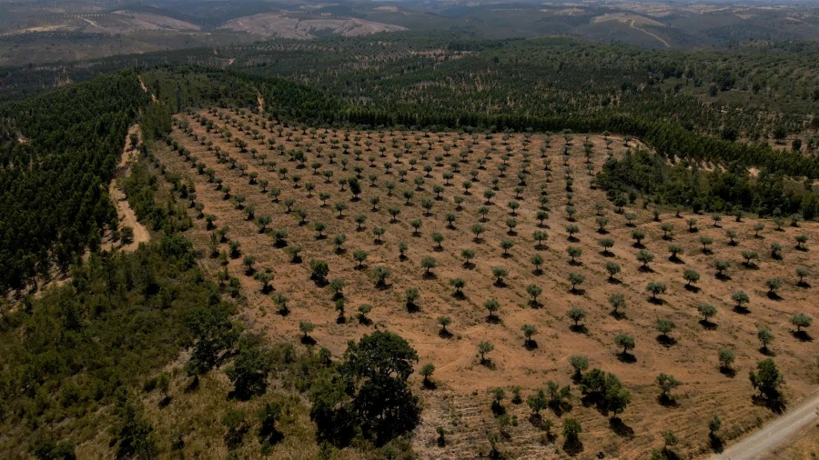 Terreno para Venda em Vila Velha de Rodão Foto 2