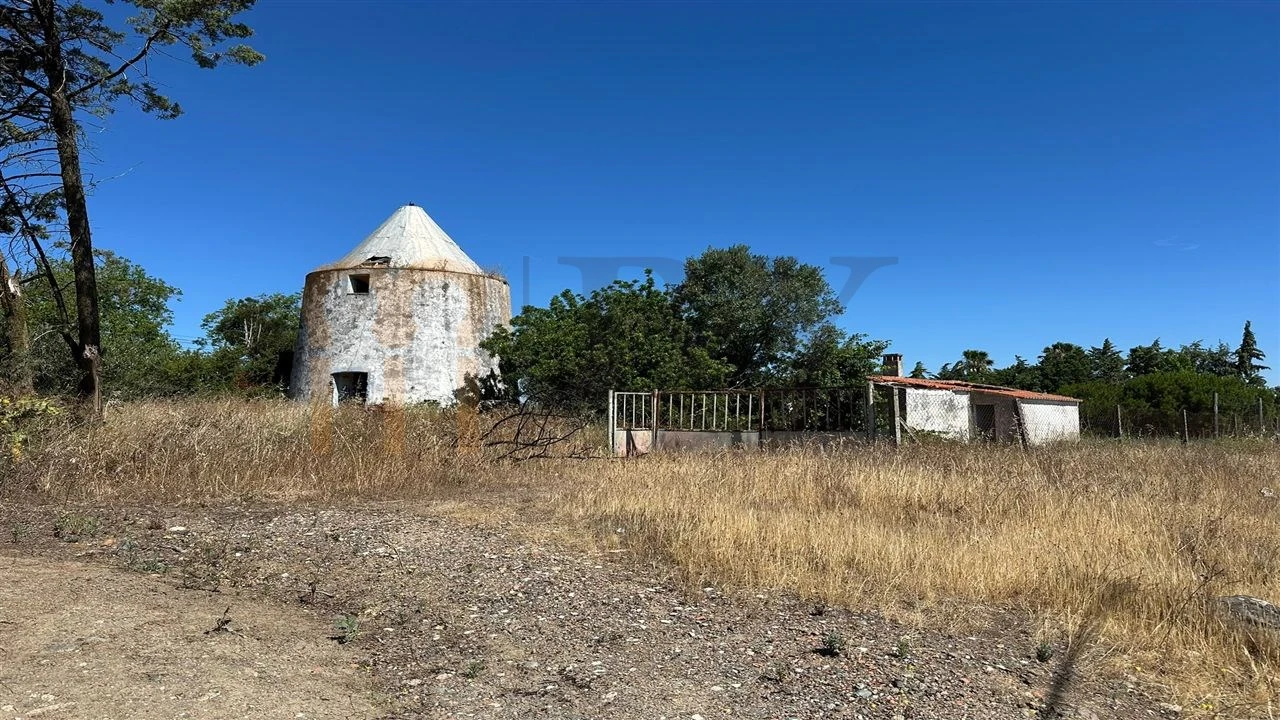 Quinta para Venda em Beja (Salvador e Santa Maria da Feira) Foto 1