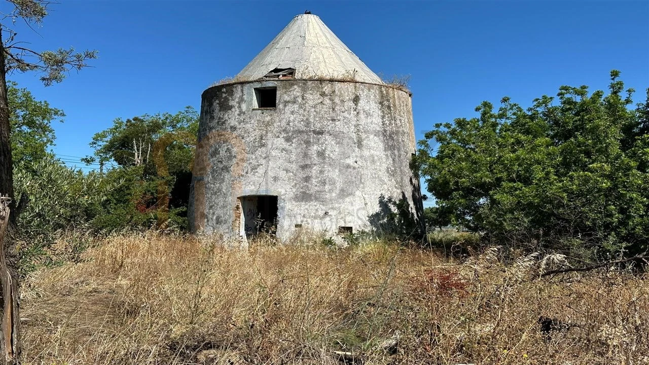 Quinta para Venda em Beja (Salvador e Santa Maria da Feira) Foto 3