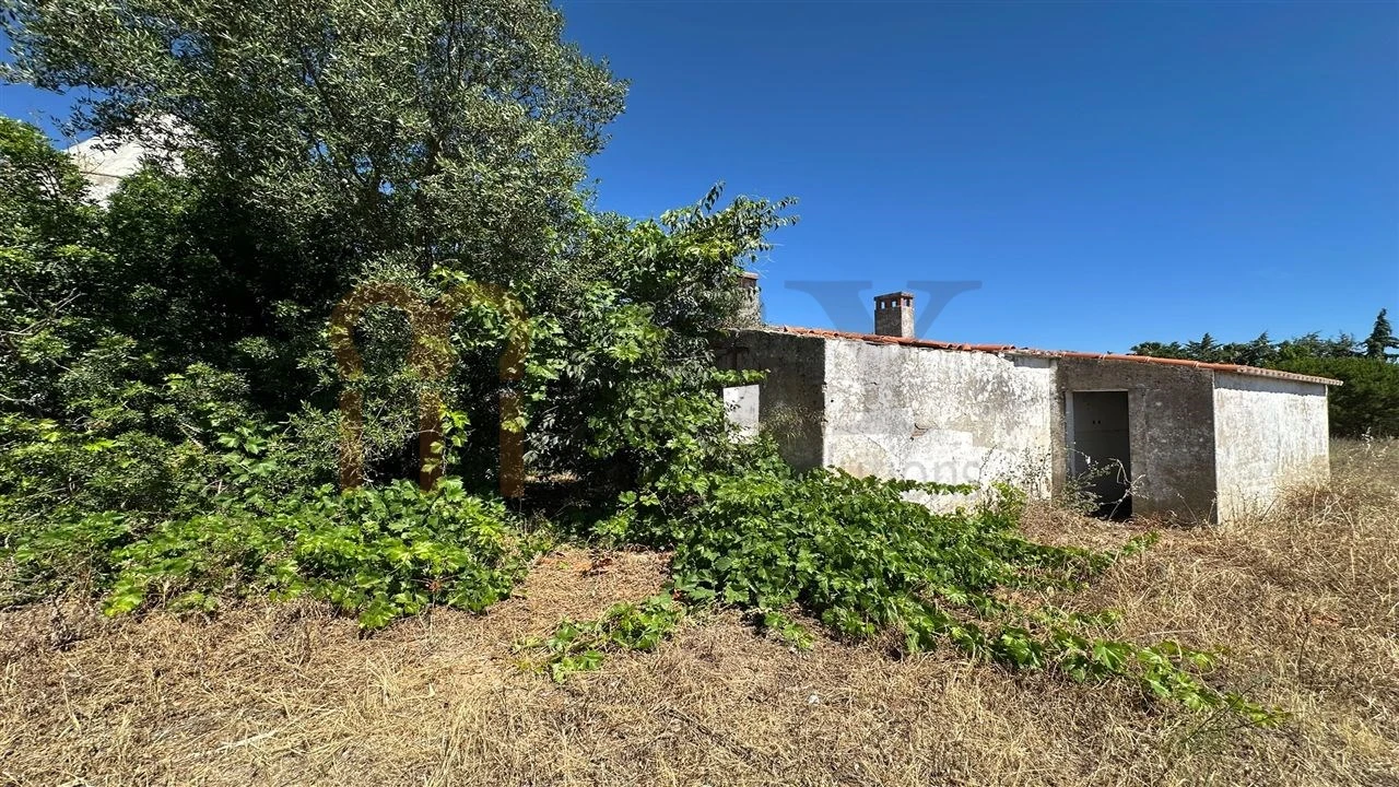 Quinta para Venda em Beja (Salvador e Santa Maria da Feira) Foto 5