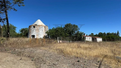 Quinta para Venda em Beja (Salvador e Santa Maria da Feira)
