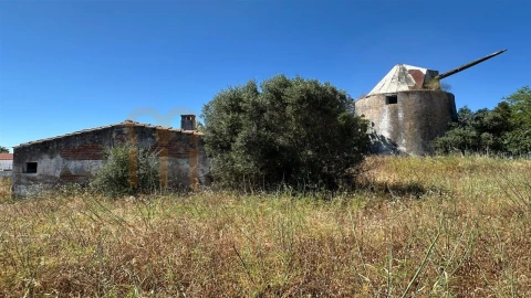 Quinta para Venda em Beja (Salvador e Santa Maria da Feira)