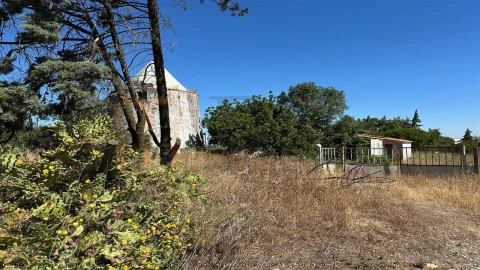Quinta para Venda em Beja (Salvador e Santa Maria da Feira)