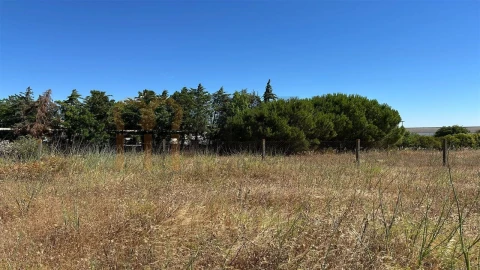 Quinta para Venda em Beja (Salvador e Santa Maria da Feira)