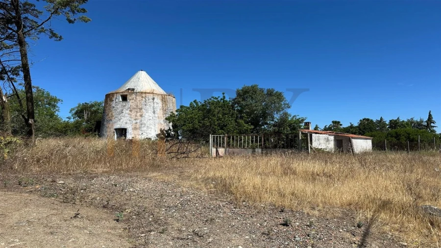 Quinta para Venda em Beja (Salvador e Santa Maria da Feira)