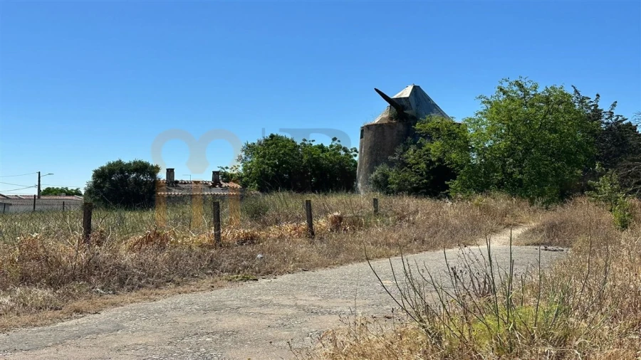 Quinta para Venda em Beja (Salvador e Santa Maria da Feira) Foto 12