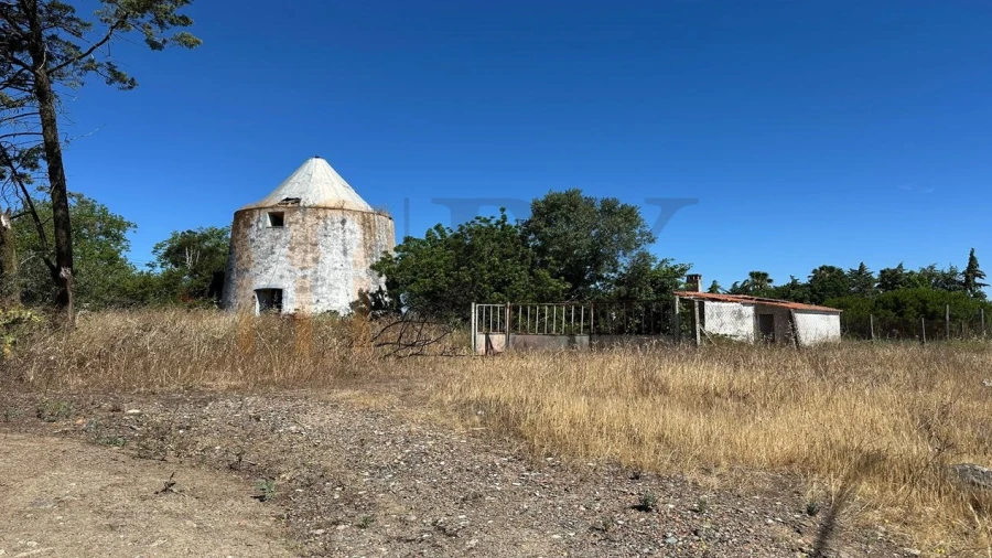 Quinta para Venda em Beja (Salvador e Santa Maria da Feira)