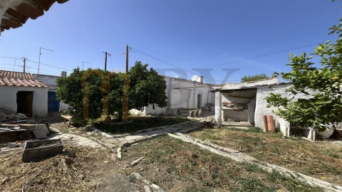 Moradia para Venda em São Miguel do Pinheiro, São Pedro de Solis, São Sebastião dos Carros