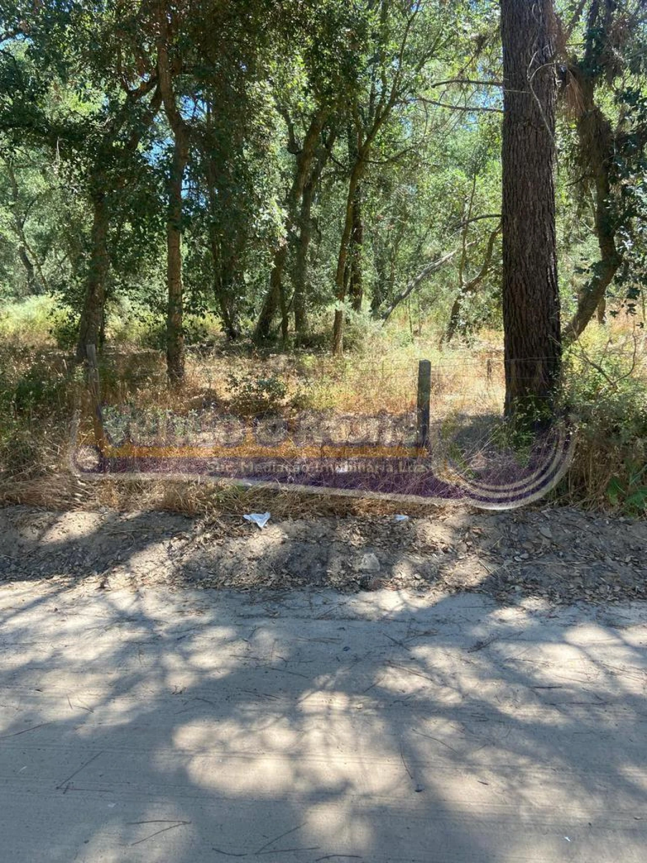 Terreno para Venda em Salvaterra de Magos e Foros de Salvaterra Foto 1