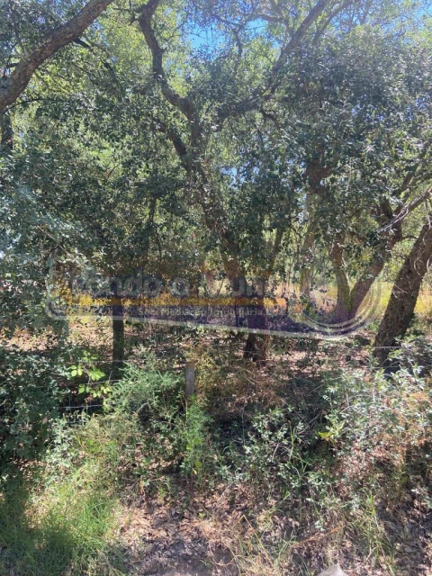 Terreno para Venda em Salvaterra de Magos e Foros de Salvaterra