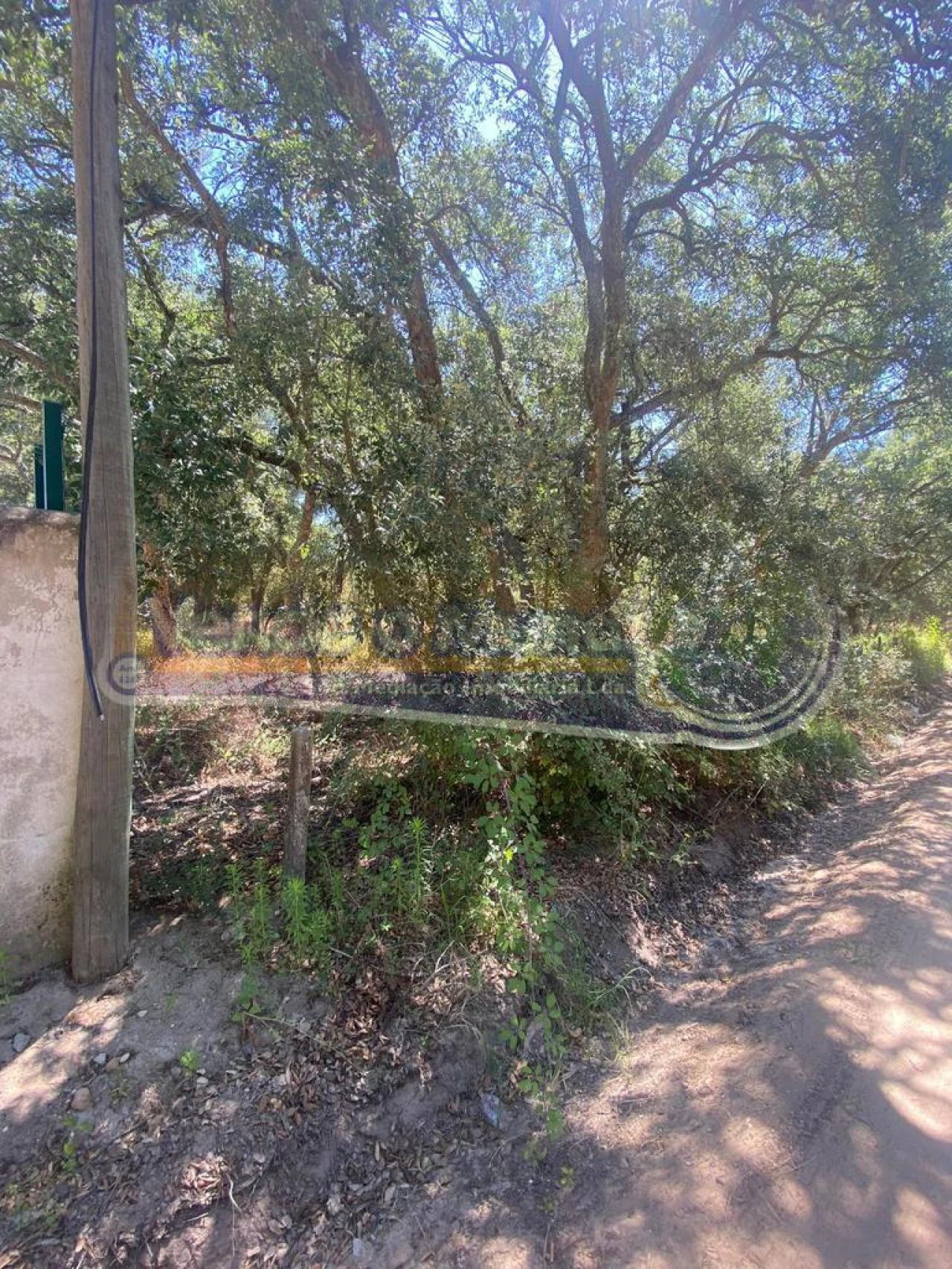 Terreno para Venda em Salvaterra de Magos e Foros de Salvaterra Foto 2