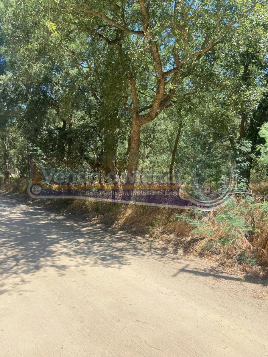 Terreno para Venda em Salvaterra de Magos e Foros de Salvaterra Foto 6