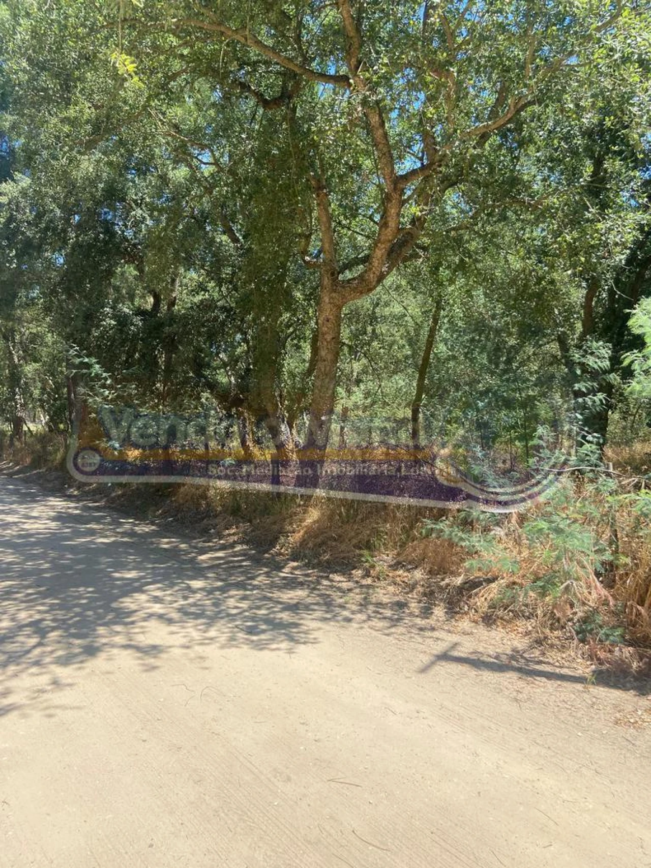 Terreno para Venda em Salvaterra de Magos e Foros de Salvaterra Foto 6