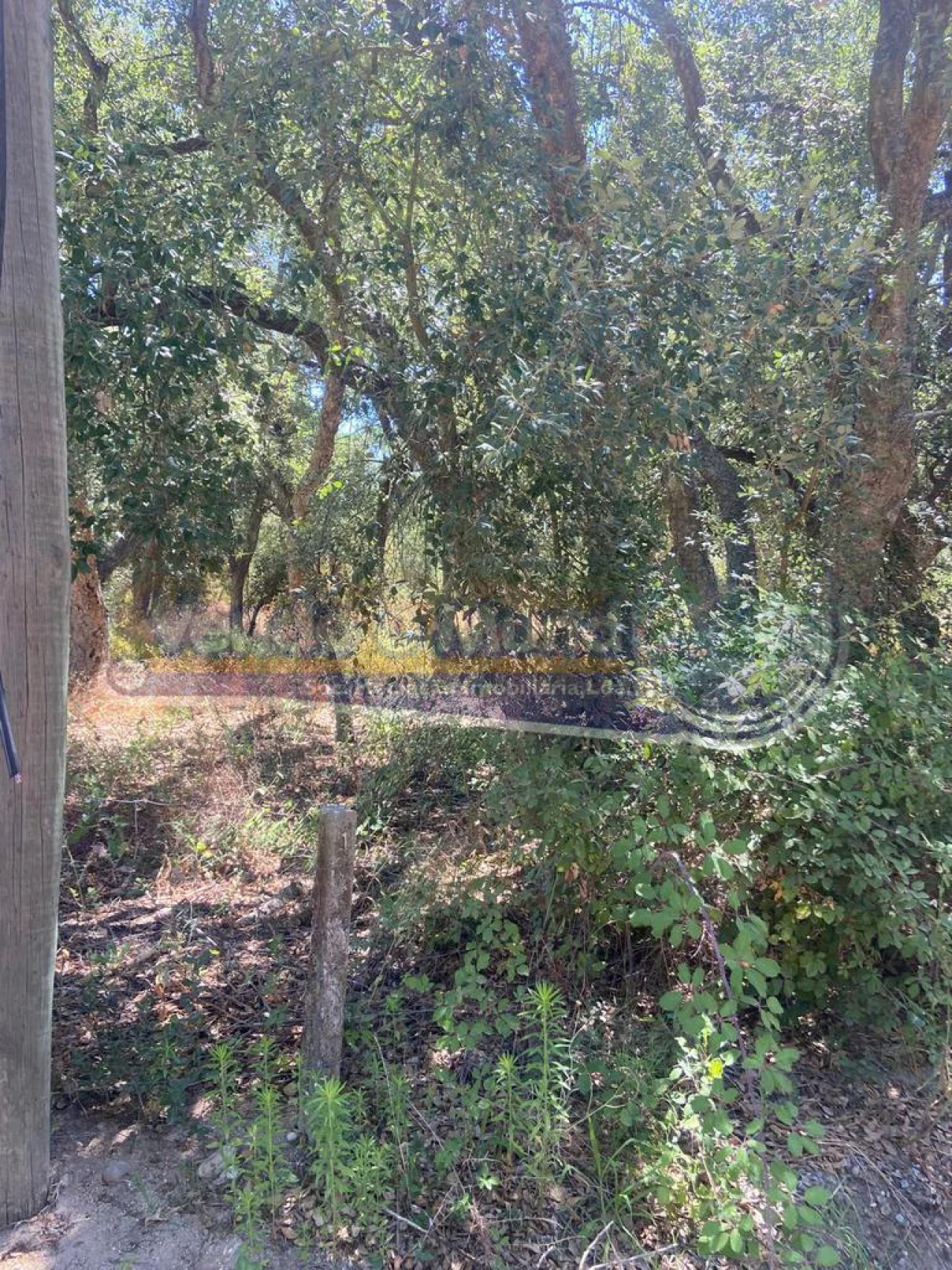 Terreno para Venda em Salvaterra de Magos e Foros de Salvaterra Foto 5